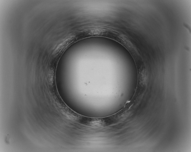 X0000103140505200808221219