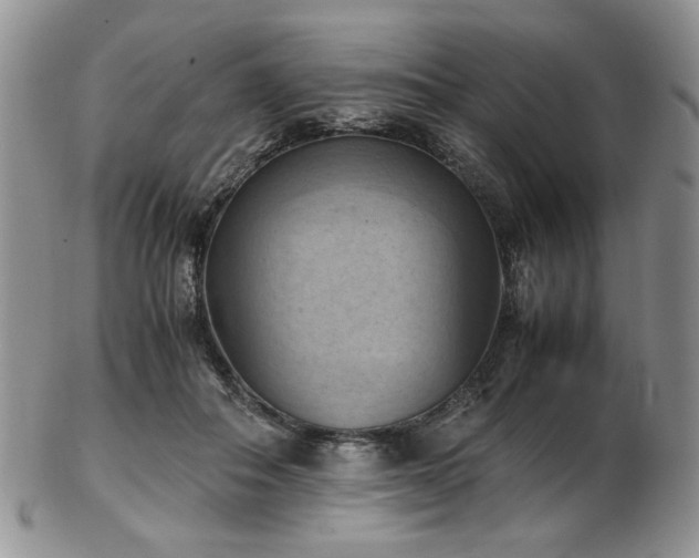 X0000103140506200808221219