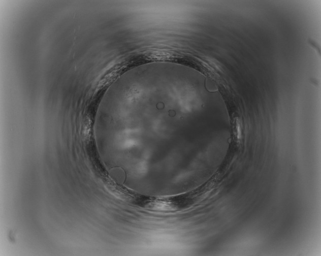 X0000103140507200808221219