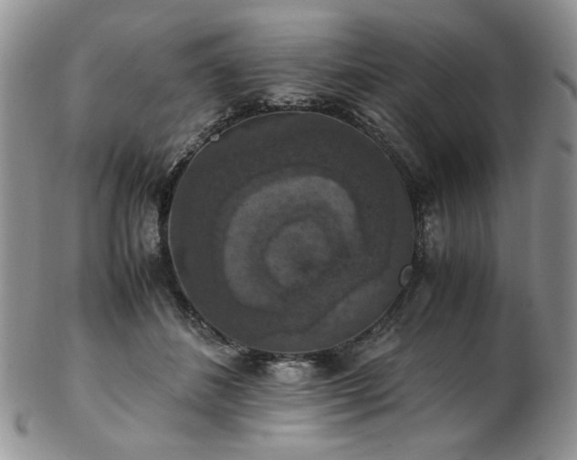 X0000103140508200808221219