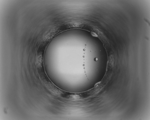 X0000103140509200808221219