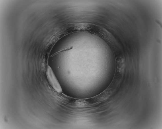 X0000103140510200808221219