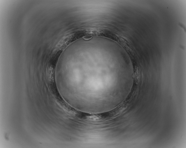 X0000103140511200808221219