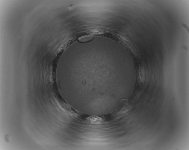 X0000103140512200808221219