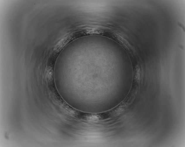 X0000103140513200808221219