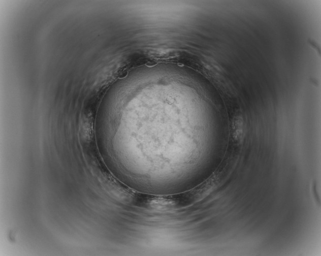 X0000103140515200808221219