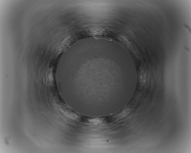 X0000103140516200808221219