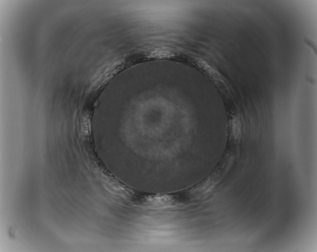 X0000103140517200808221219