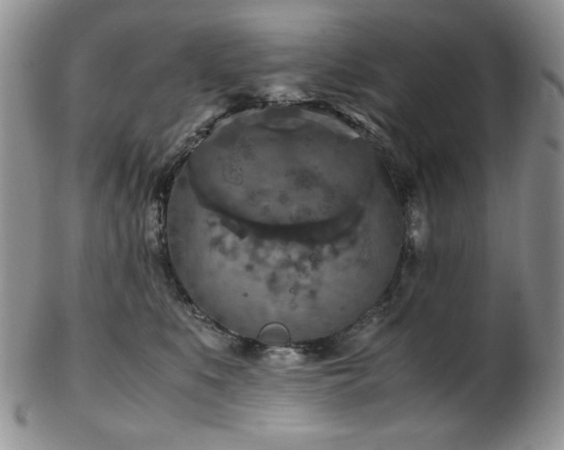 X0000103140519200808221219