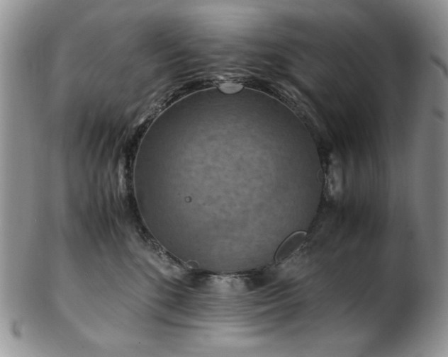 X0000103140520200808221219