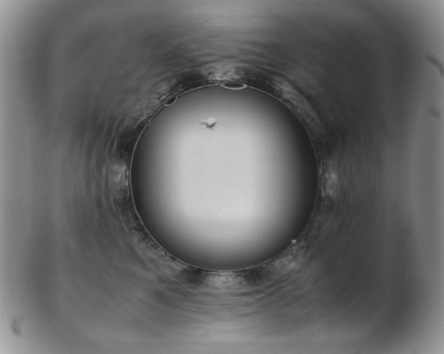 X0000103140521200808221219