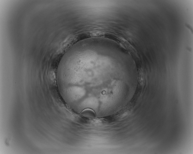 X0000103140523200808221219