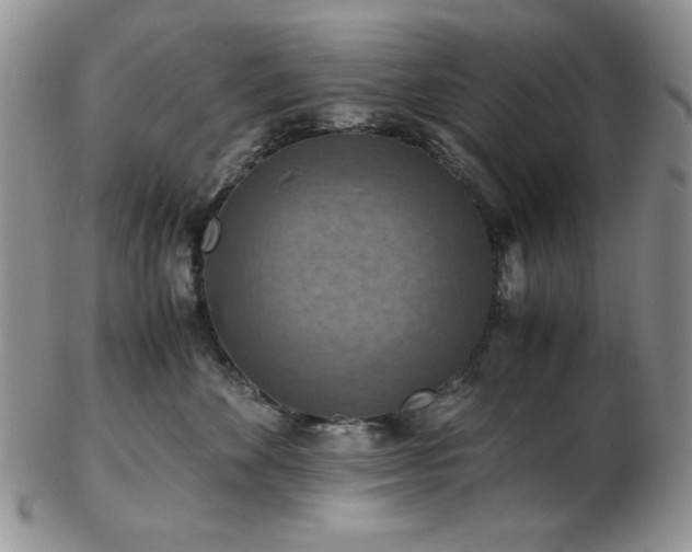 X0000103140524200808221219