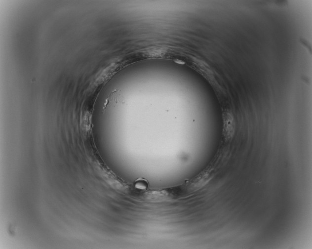 X0000103140525200808221219