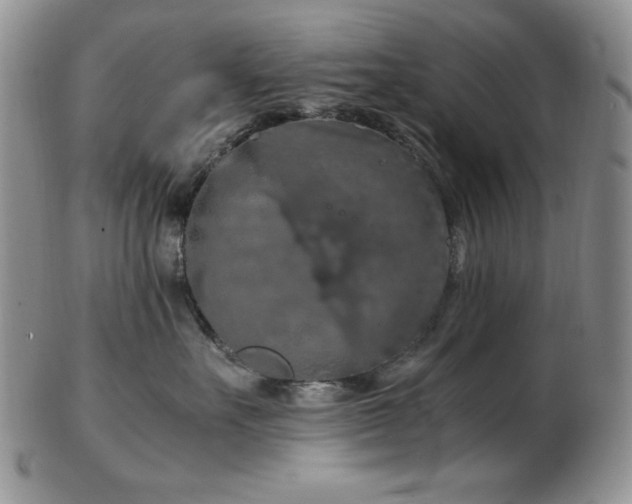 X0000103140527200808221219