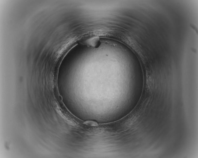 X0000103140530200808221218