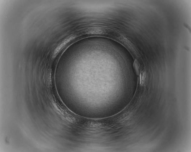 X0000103140531200808221218