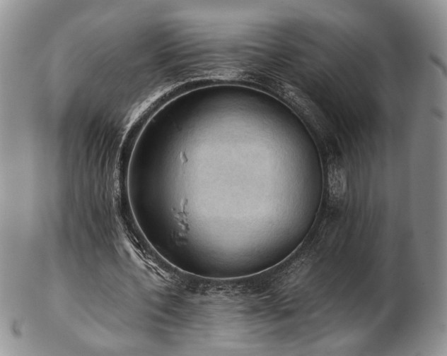 X0000103140532200808221218