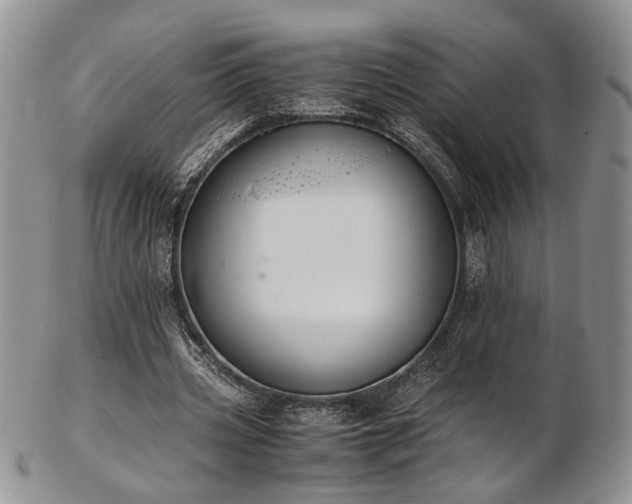 X0000103140533200808221218