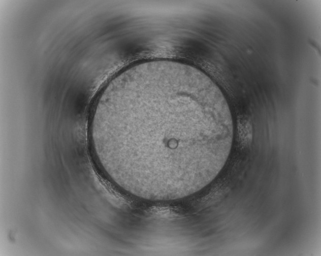 X0000103140534200808221218