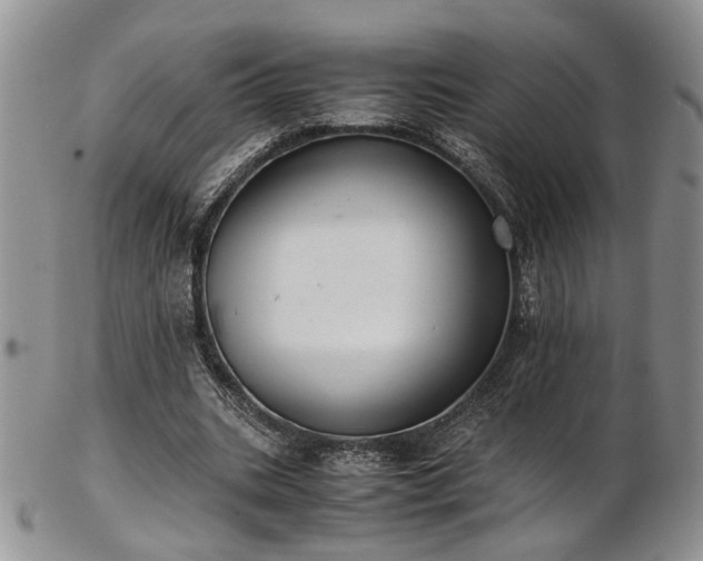 X0000103140535200808221218