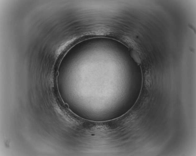 X0000103140536200808221218