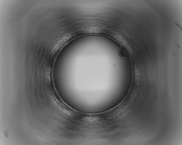 X0000103140537200808221218