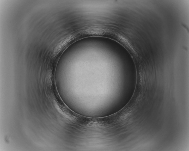 X0000103140538200808221218