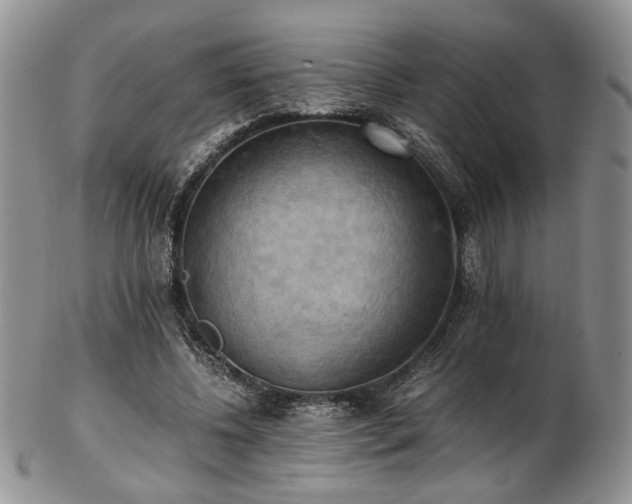 X0000103140540200808221218