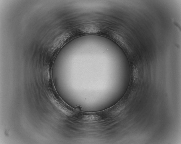 X0000103140541200808221218