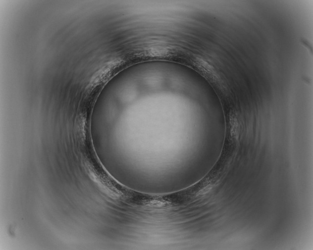 X0000103140542200808221218