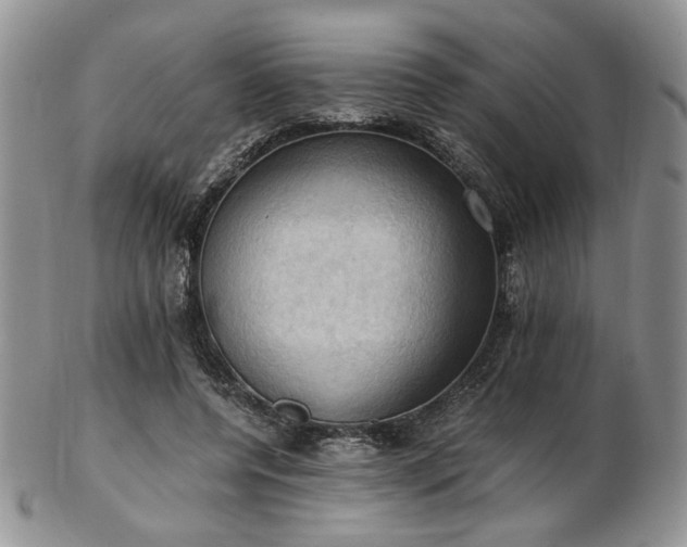 X0000103140544200808221218