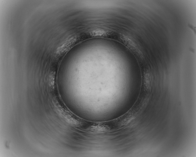 X0000103140545200808221218