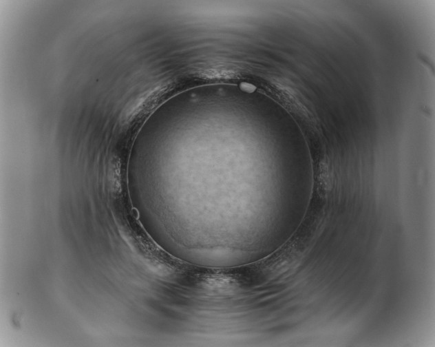 X0000103140547200808221218