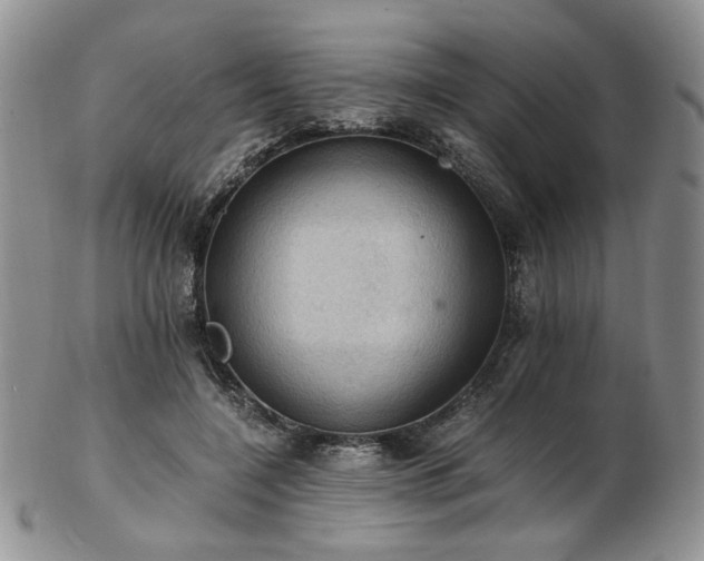 X0000103140548200808221218