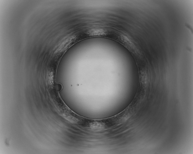 X0000103140549200808221218