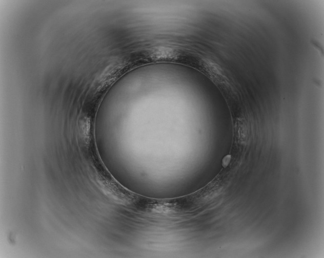 X0000103140550200808221218