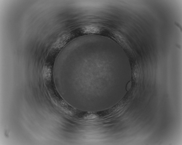 X0000103140551200808221218