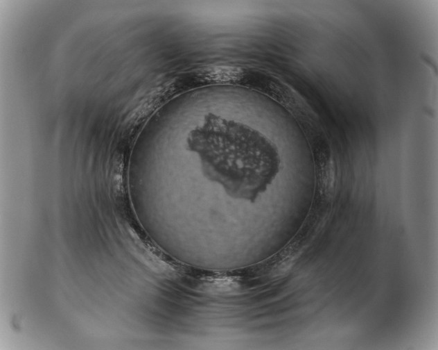 X0000103140553200808221218