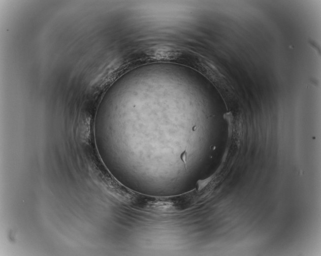 X0000103140554200808221218