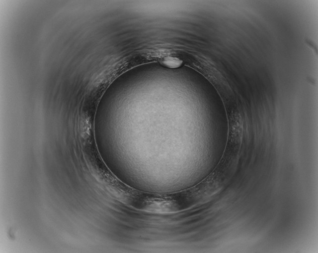 X0000103140555200808221218