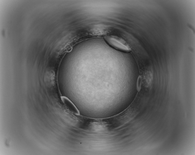 X0000103140556200808221218