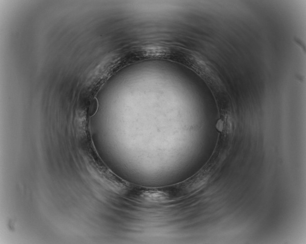 X0000103140557200808221218