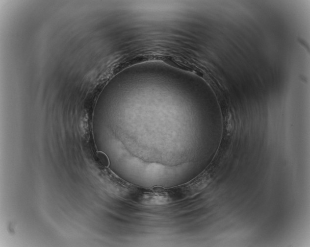 X0000103140559200808221218