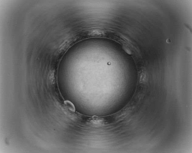 X0000103140560200808221218