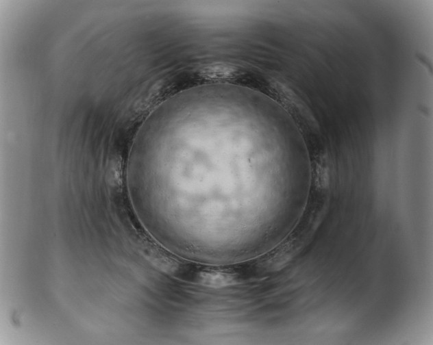 X0000103140561200808221218