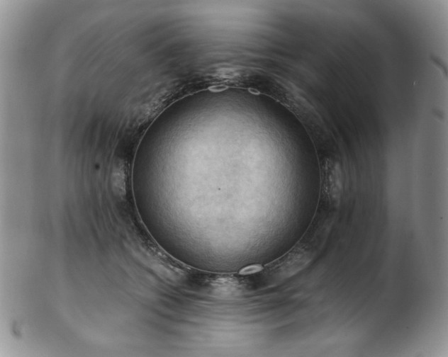 X0000103140562200808221218