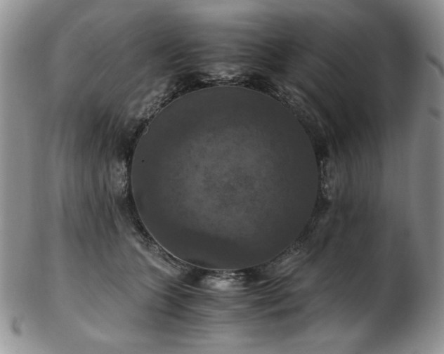 X0000103140563200808221218