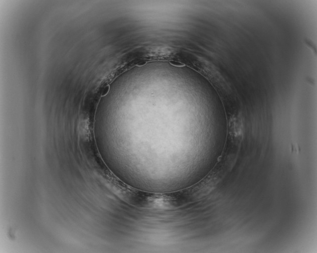 X0000103140564200808221218