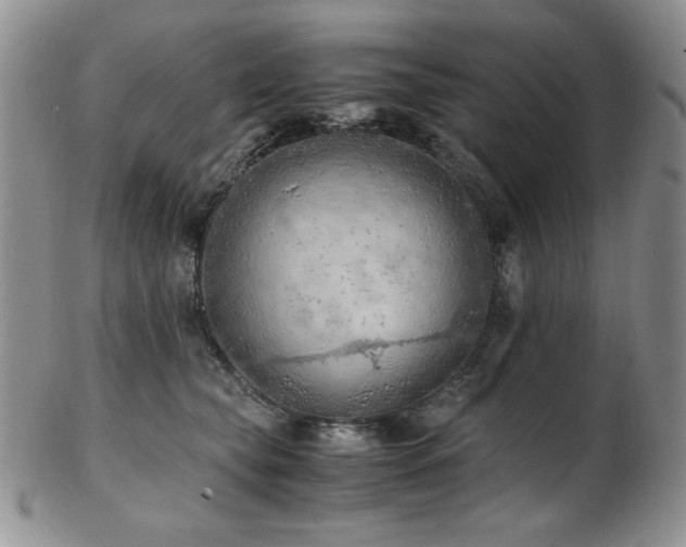 X0000103140565200808221218